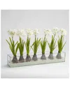 D&w Silks Inc Paper White Bulbs In Rectangle Glass