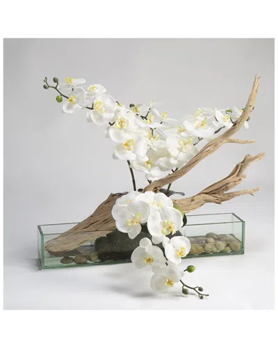 D&w Silks Inc White Phael Orchids With Ghostwood In Rectangle Aquarium Glass In Multi