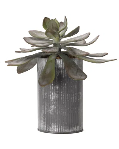 D&w Silks Large Frosted Echeveria In Tin Planter In Green
