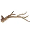 D&w Silks Large Ghostwood Branches In Brown