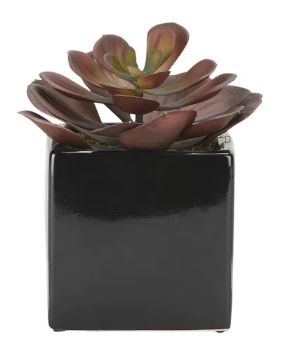 D&w Silks Large Red Echeveria In Square Black Ceramic Planter In Multi