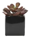 D&w Silks Large Red Echeveria In Square Black Ceramic Planter