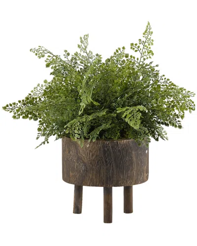 D&w Silks Maiden Hair Fern In Round Wooden Planter In Brown