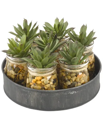 D&w Silks Mini Aloe Plants In Small Glass Jars Set On Metal Tray In Multi