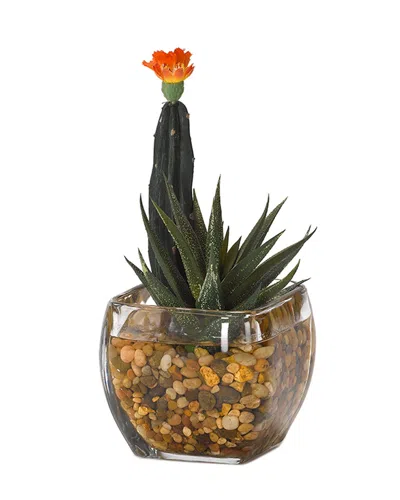 D&w Silks Mini Column Cactus And Aloe In Glass Cube In Multi