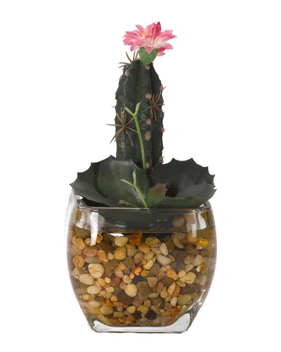 D&w Silks Mini Finger Cactus And Wild Succulent In Glass Cube In Multi