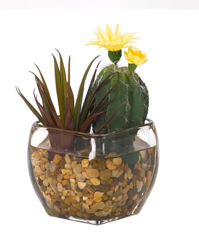 D&w Silks Mini Oval Cactus And Aloe In Glass Cube In Multi