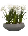 D&w Silks Paper White Bulbs In Concrete Bowl