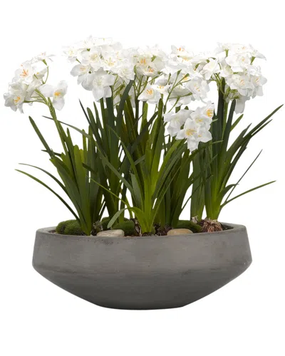 D&w Silks Paper White Bulbs In Concrete Bowl