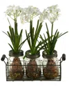 D&w Silks Paper Whites In Glass Jars In Metal Holder