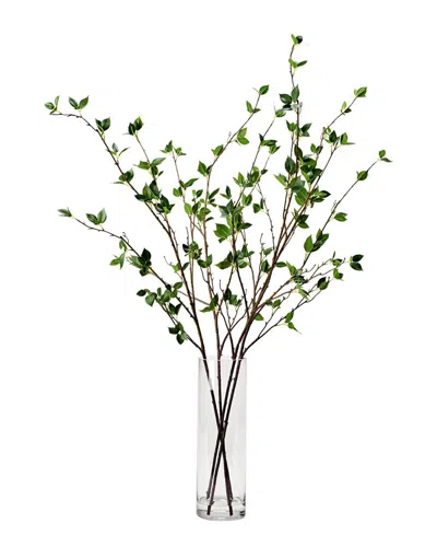D&w Silks Real Touch Cherry Leaf Branches In Glass Vase In Green