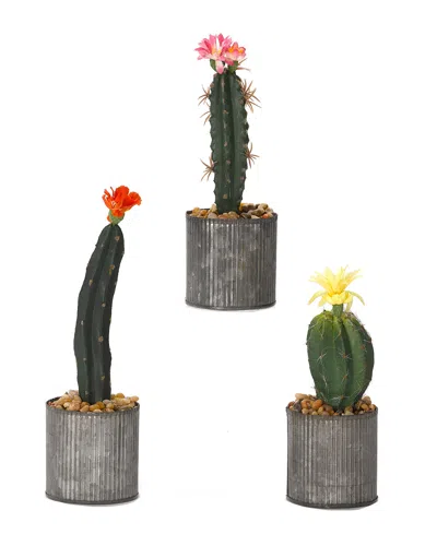 D&w Silks Set Of 3 Assorted Cactus In Round Tin Planter In Gray