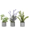 D&w Silks Set Of 3 Basil, Lavender And Springeri In Tin Planters