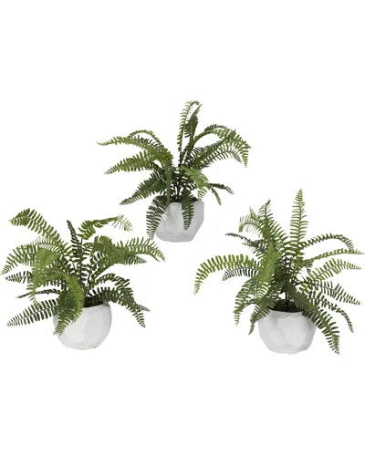 D&w Silks Set Of 3 Boston Fern In Glossy White Ceramic In Multi