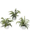 D&w Silks Set Of 3 Boston Fern In Glossy White Ceramic