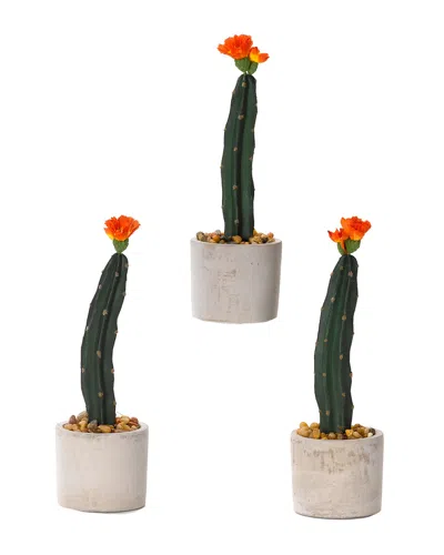 D&w Silks Set Of 3 Mini Column Cactus In Small Round Cement Planter In White