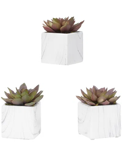 D&w Silks Set Of 3 Rose Echeveria In White Marbled Ceramic Square In Multi