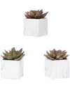 D&w Silks Set Of 3 Rose Echeveria In White Marbled Ceramic Square