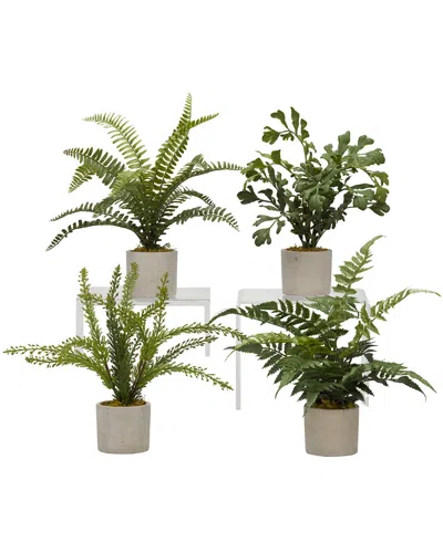 D&w Silks Set Of 4 Assorted Mini Ferns In Mini Cement Cylinder In Multi