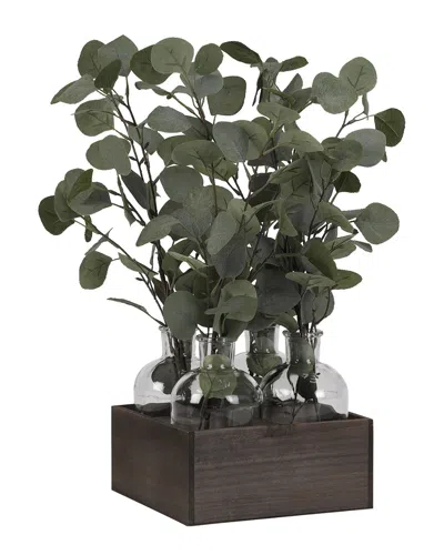D&w Silks Silver Dollar Eucalyptus In Glass Bottles In Wooden Crate In Multi