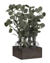 D&w Silks Silver Dollar Eucalyptus In Glass Bottles In Wooden Crate