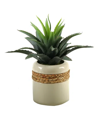 D&w Silks Star Succulent In Round Ceramic Planter In Green
