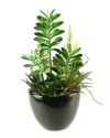 D&w Silks Succulent In Black