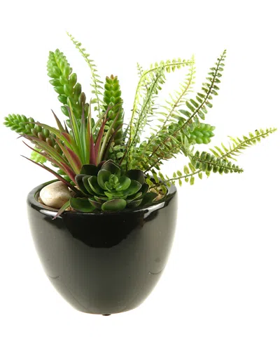 D&w Silks Succulent, Aloe And Echeveria In Round Ceramic Planter