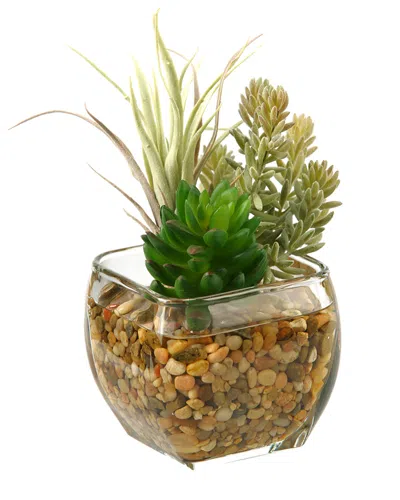 D&w Silks Succulent And Flocked Burro Tail In Glass Cube In Multi