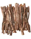 D&w Silks Wall Hanging Dragonwood With Ficus Benjamina In Brown