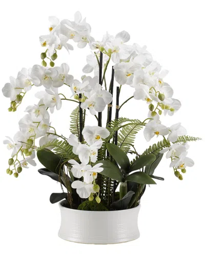 D&w Silks White Orchids In Round White Ceramic Dish