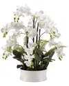 D&w Silks White Orchids In Round White Ceramic Dish In White
