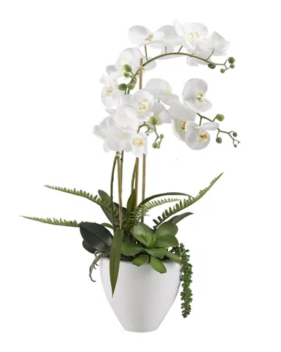 D&w Silks White Orchids In White Ceramic Bowl