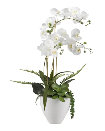 D&W SILKS D&W SILKS WHITE ORCHIDS IN WHITE CERAMIC BOWL