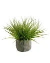 D&w Silks Wild Grass In Concrete Bowl