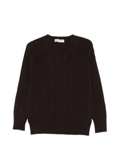 D Exterior Cable-knit Raglan-sleeve Sweater In Brown