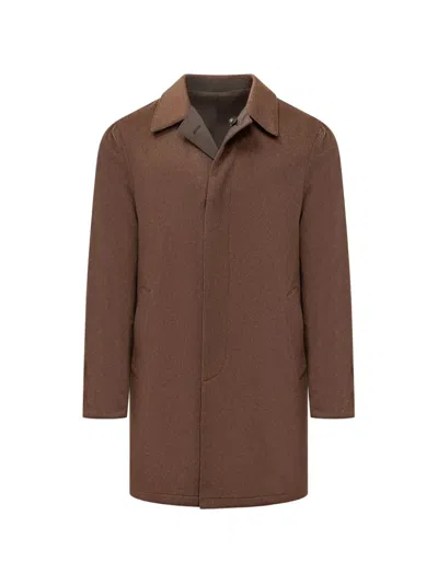 D Exterior Concealed-fastening Coat In Brown