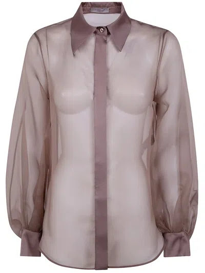 D Exterior D.exterior Organza Silk Long Sleeves Shirt In Brown