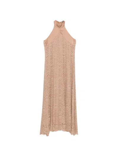 D Exterior Flower-lace Midi Dress In Brown