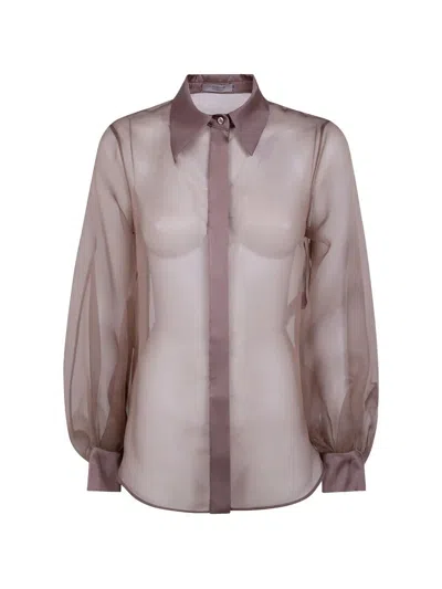 D Exterior D. Exterior Organza Silk Long Sleeves Shirt In Brown