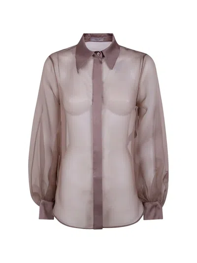 D Exterior Silk Organza Long-sleeve Shirt In Brown
