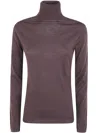 D Exterior D. Exterior Sweater Basic Merino Turtle Neck In Brown