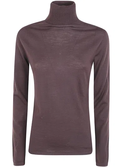 D Exterior D. Exterior Sweater Basic Merino Turtle Neck In Brown