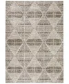 D Style Carmona Co8 3'1" X 5' Area Rug In Driftwood