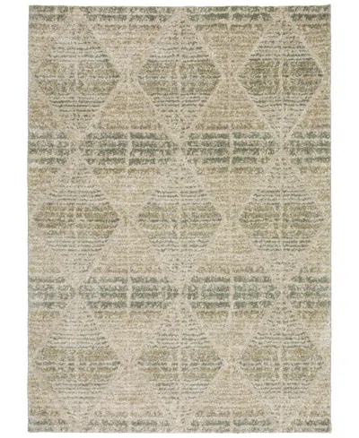 D Style Carmona Co8 3'1" X 5' Area Rug In Mist