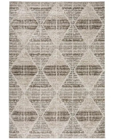 D Style Carmona Co8 8' X 10' Area Rug In Driftwood