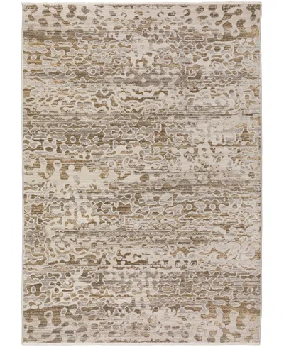 D Style Denizi Dz6 3'3" X 5'3" Area Rug In Mocha