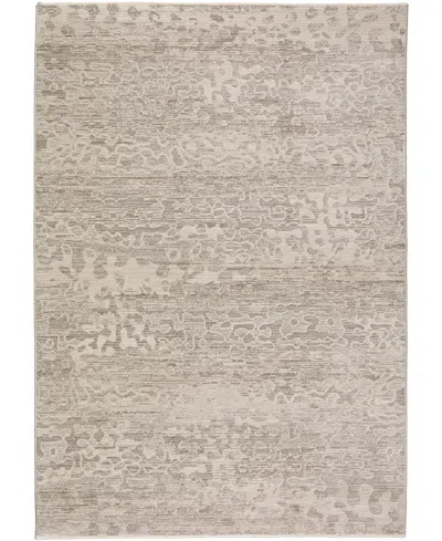 D Style Denizi Dz6 3'3" X 5'3" Area Rug In Silver