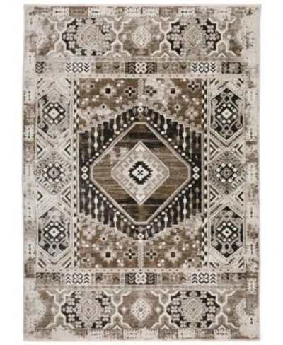 D Style Moises Mss5 Area Rug In Mocha