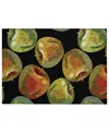 D Style Kendall Kitchen Ke8 1'8" X 2'6" Area Rug In Black